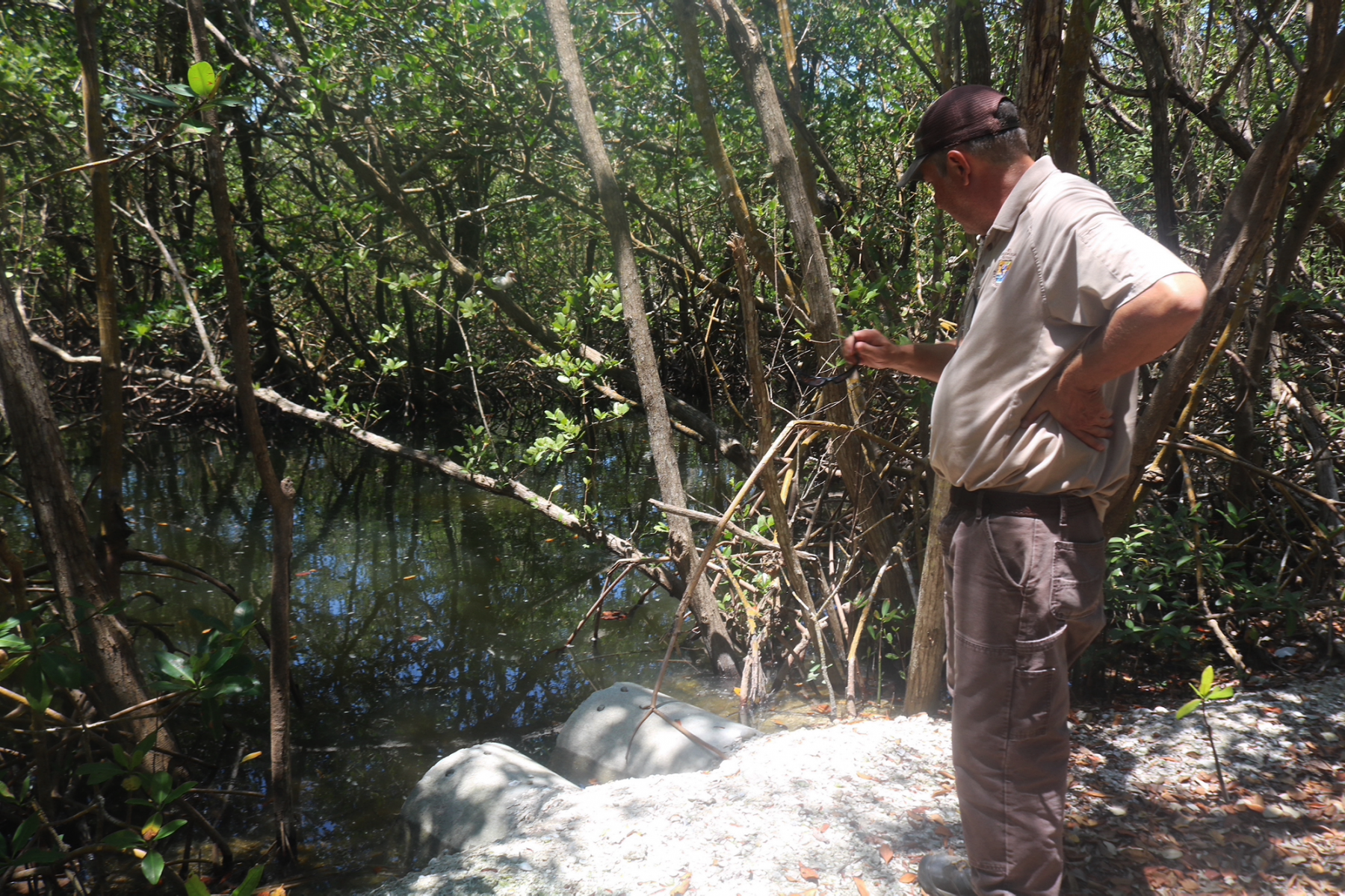 A man dressed in neutral colors stands amid trees.